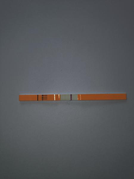 Zkušenosti s těhotenským testem: Ryska po hodině?