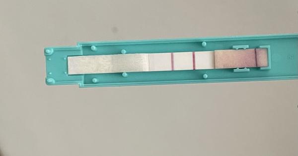 Ovulační test. Je pozitivní?