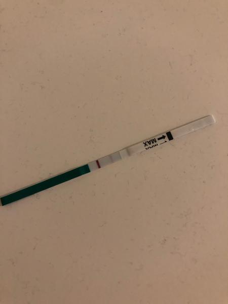 Těhotenství. Ano či ne?