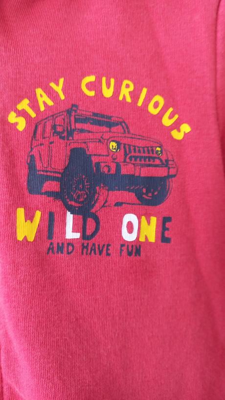 Mikina s autem, lupilu,110