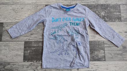 Triko dl.rukáv dinosauři, 104