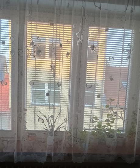 Dětská záclona se zvířátky vel.340 x 160 cm, 