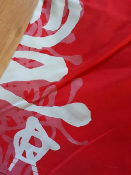 Koupací kraťasy šortky plavky animal, animal,170