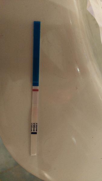 Těhotenský test Dr. Max. Jedna čárka růžová, druhá bílá