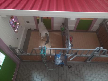 Schleich stáj, kavárna, elfí kavárna cena za vše,