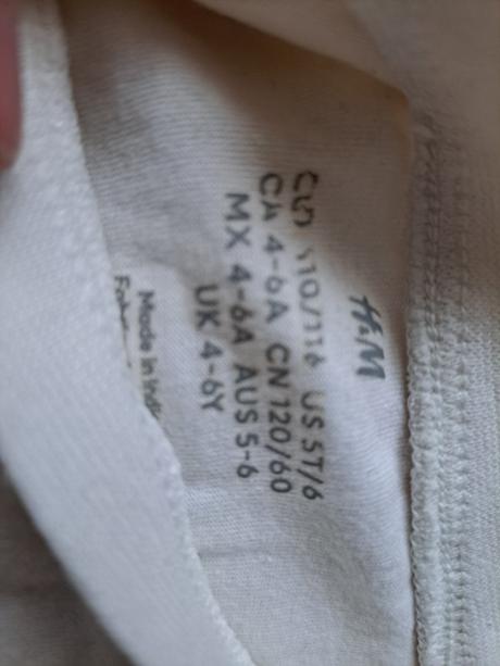 Tričko dinosaurus, h&m,110