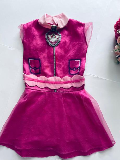 An6/ kostým pav patrol,