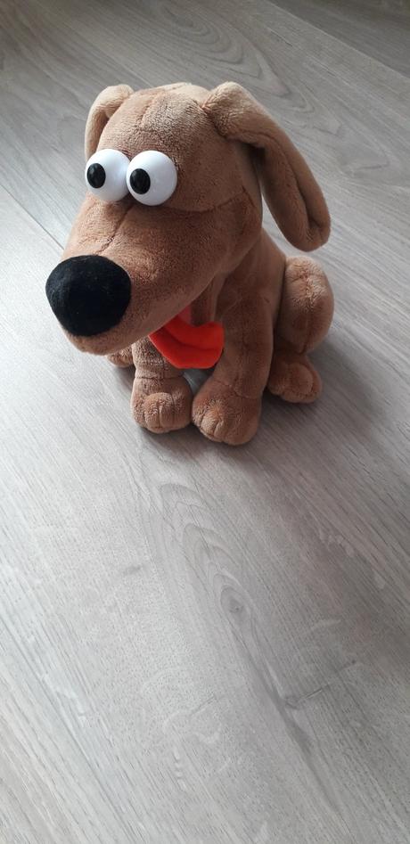 1366 - vysmátý pejsek wiki, 