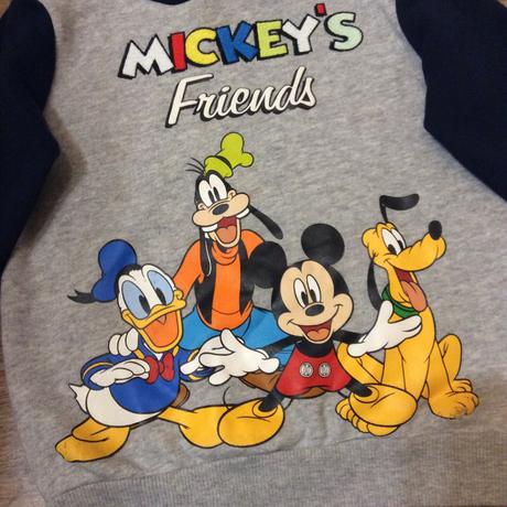 Mikina ,,mickeys friends", tu,98