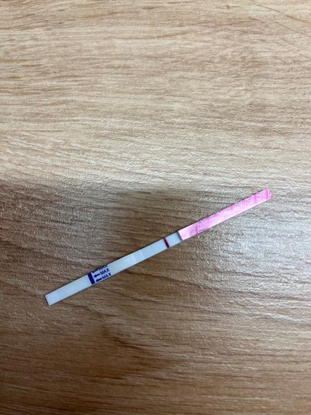 Zkušenosti a zážitky s duchy ve vašich domovech