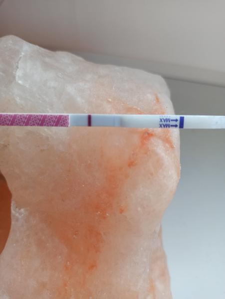 Zase tt. Přijde ještě MS, nebo se něco rýsuje?