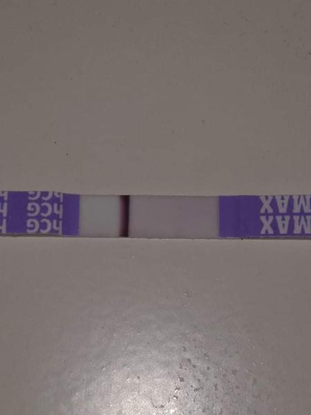 1 den do MS. Co myslíte?