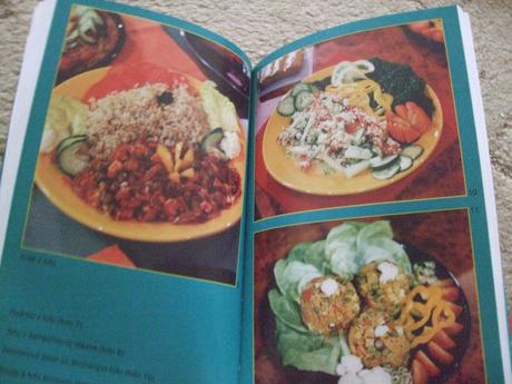 Nový tofu receptár,