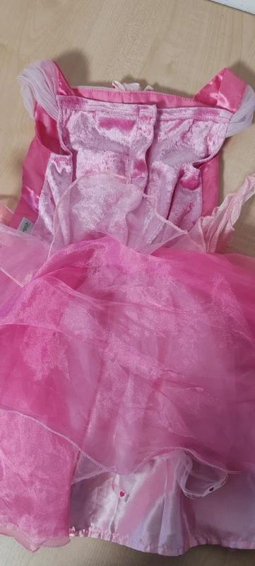 Šípková růženka,