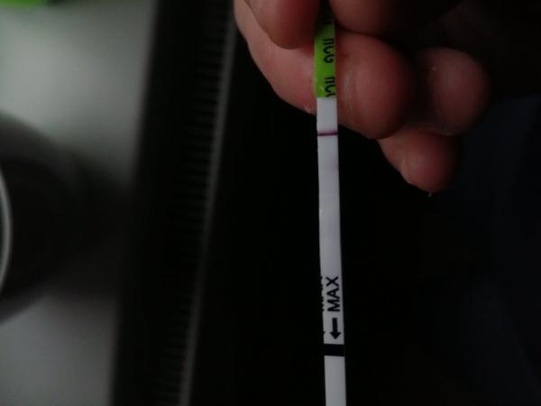 Příznaky těhotenství: Jak je rozpoznat?