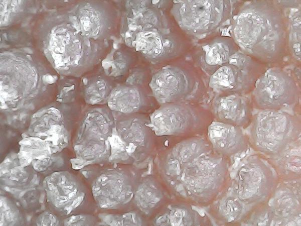 Nevíme, co to je. Poradíte, prosím?