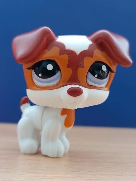 Lps jack russell teriér, 