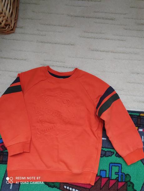 Dětská mikinka, lupilu,110