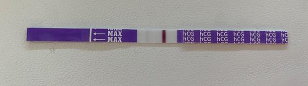 Zkušenosti s biochemickým těhotenstvím. Co říkají testy?