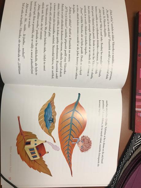 Dušinka víla věcí - ester stará, 