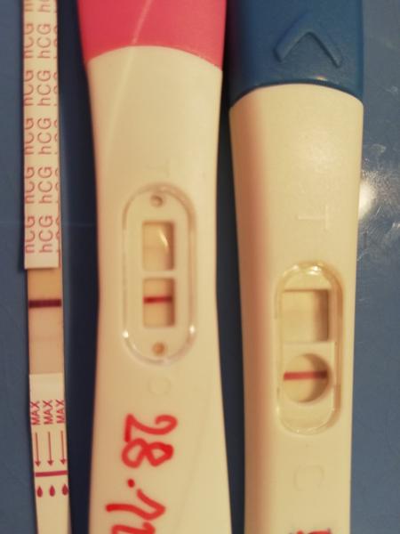 Mám se potichu radovat?