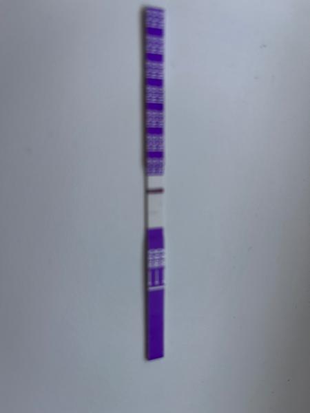 Může se ranní těhotenský test mýlit?