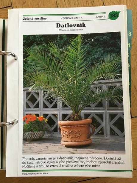 Kniha pokojové květiny od a do z, 