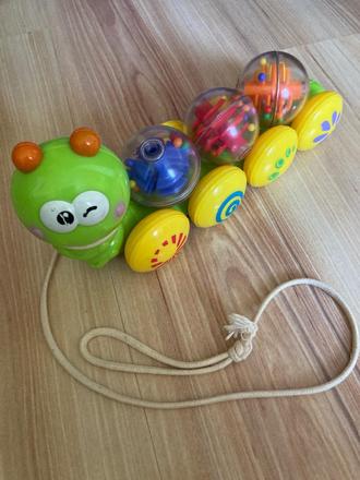 Chrastící stonožka,