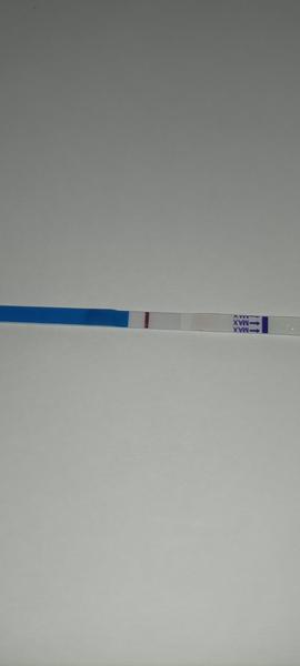 Je na testu Dr. Max ryska?