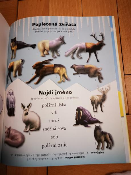 Velká kniha hádanek, 