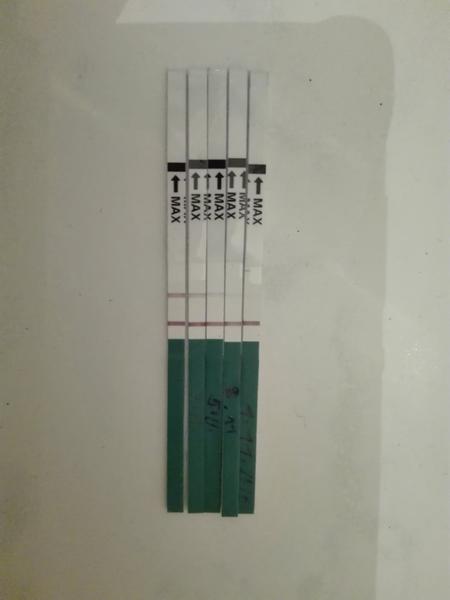 Mimoděložní těhotenství? Na UTZ nebylo nic vidět