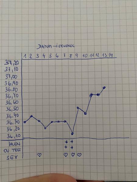 Kdy nastala ovulace při dlouhých cyklech?