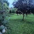 dneska jsem si pri vecernim seceni travy