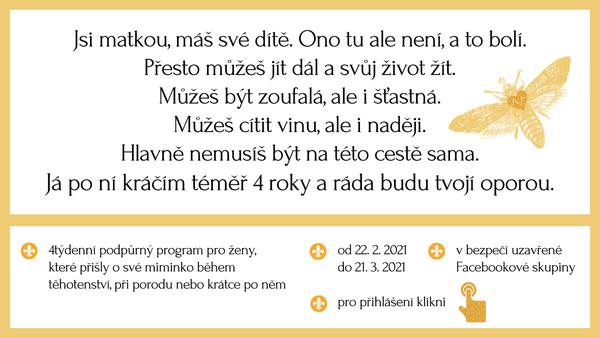 Podpůrný program - Bezplatná podpora pro ženy po ztrátě miminka