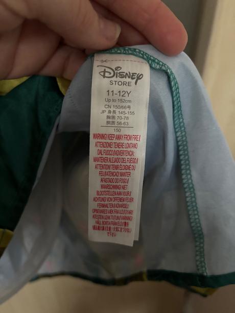An24/ kostým anna frozen- v. 11/12 let zn. disney, 