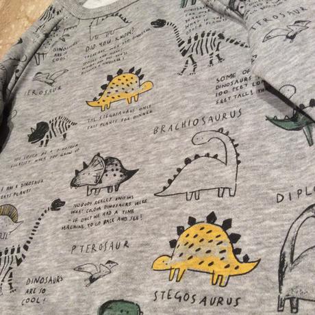 Mikina s dinosaury zn. george, george,92