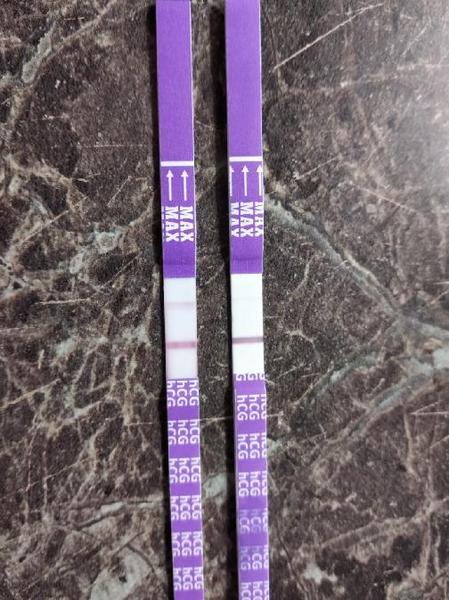 Těhotenský test . Jde o těhotenství?