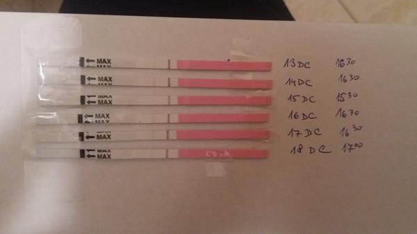 Co myslíte, přijde ještě ovulace? Nebo se jedná o anovulační cyklus
