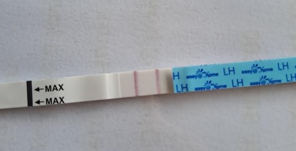 Měli bychom se dnes snažit o početí?