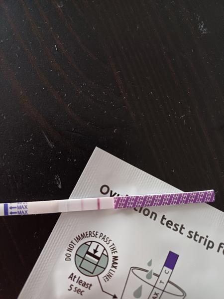 Jak poznat blížící se ovulaci z ovulačního testu?