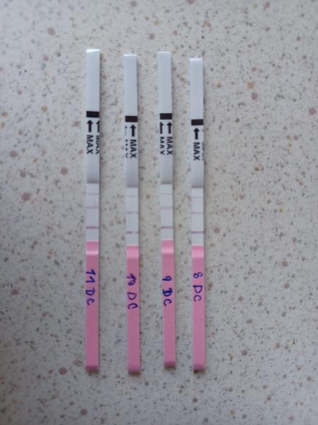 Co znamenají stejné čárky na ovulačním testu?