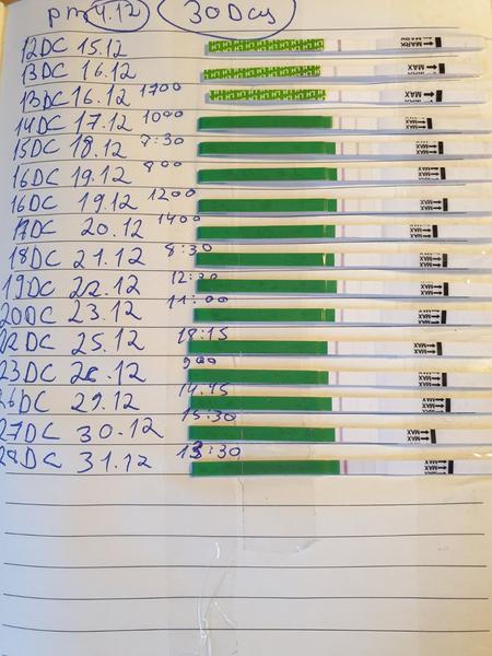 Ovulační test. Co myslíte, je pozitivní?