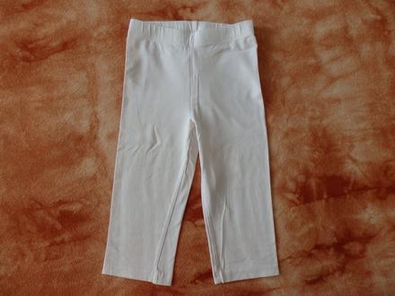 Bílé tříčtvrťáky, palomino,122