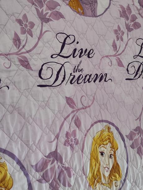 Obří dětská deka přikrývka přehoz disney, šířka (cm): 170