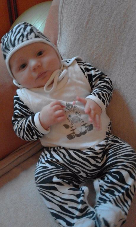 Komplet zebre - body, dupačky + čepička - vel.56/6, new baby,62