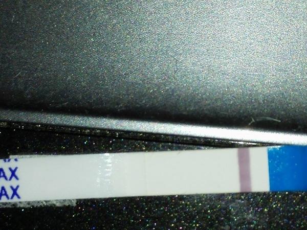 Testování před MS