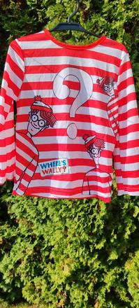 Kde je wally,