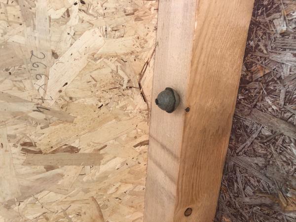 Co je to za hnízdečko a jak ho zničit?