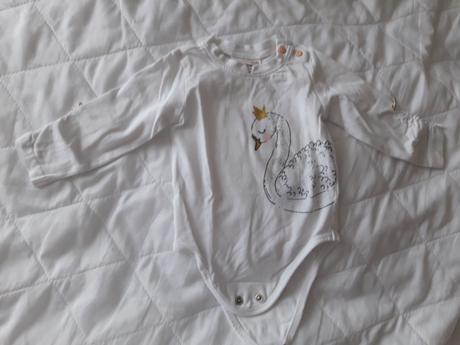 Body s labutí, coccodrillo,68