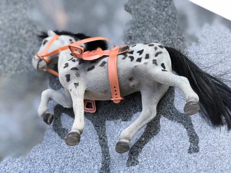 Sedivy kun s cernou privou, 